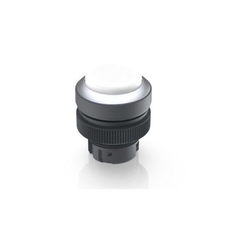 Rafi Rafix 22 Qr Pushbutton Illuminable Wt 1.30.240.221/1000